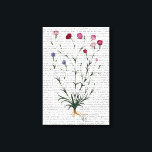 Italiaanse anjer 5 canvas afdruk<br><div class="desc">Botanisch en Floral</div>