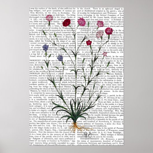 Italiaanse anjer 5 poster (Voorkant)