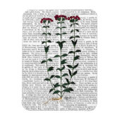 Italiaanse anjer 6 magneet (Verticaal)