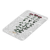 Italiaanse anjer 6 magneet (Linkerzijde)