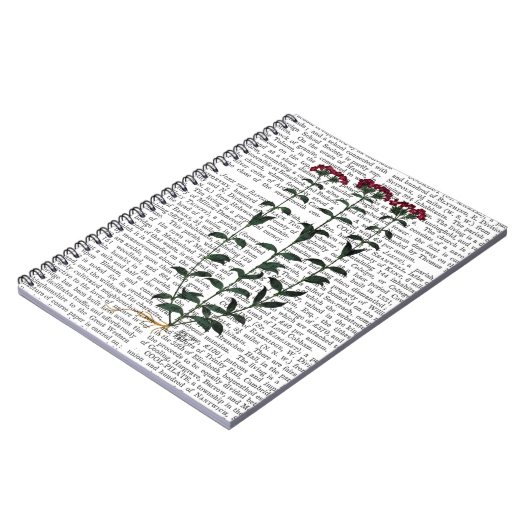 Italiaanse anjer 6 notitieboek (Linkerzijde)