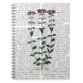 Italiaanse anjer 6 notitieboek (Voorkant)