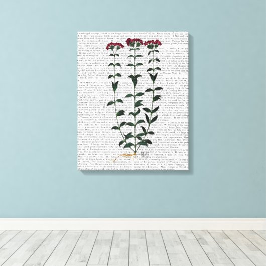 Italiaanse anjer canvas afdruk (Insitu (Houten vloer))