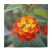 Italiaanse bloemen tegeltje (Voorkant)