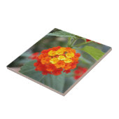 Italiaanse bloemen tegeltje (Zijkant)