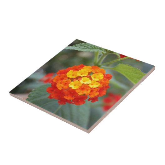 Italiaanse bloemen tegeltje (Zijkant)