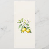 Italiaanse citroenen menu (Achterkant)
