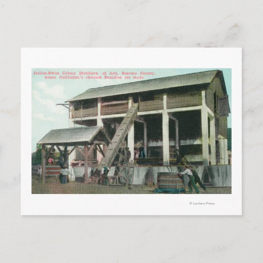 Italiaanse Colony Brandy Distillery Briefkaart (Voorkant)