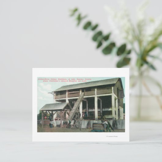 Italiaanse Colony Brandy Distillery Briefkaart (Staand voorkant)