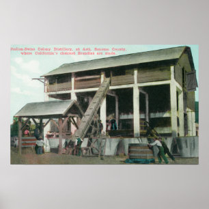 Italiaanse Colony Brandy Distillery Poster