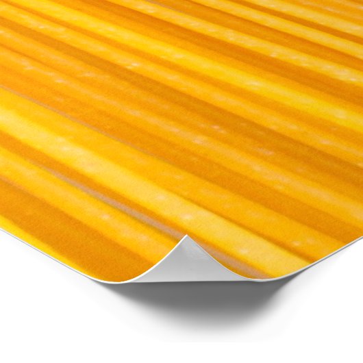 Italiaanse Cuisine Poster (Hoek)