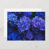 Italiaanse Deep Blue Hydrangeas Briefkaart (Voorkant / Achterkant)