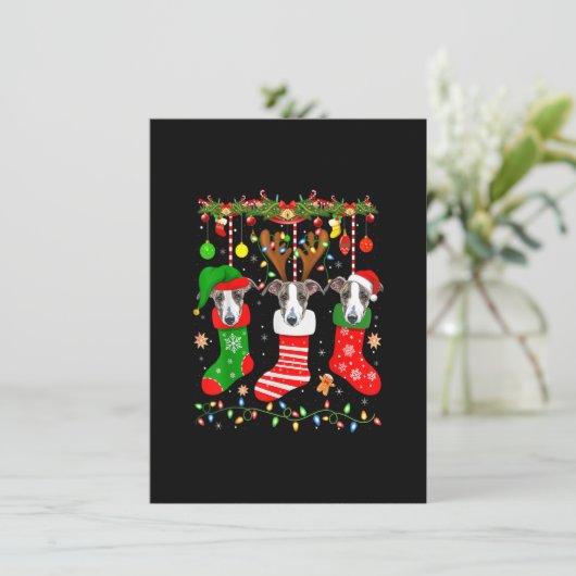 Italiaanse dolfijnen met kerstsokken, lights Xm Kaart (Staand voorkant)