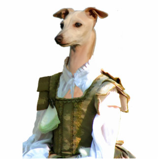 Italiaanse graafschap Greyhound Young Countess Fot Staand Fotobeeldje