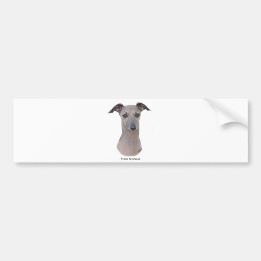 Italiaanse Greyhound 9K75D-11 Bumpersticker (Voorkant)