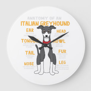 Italiaanse Greyhound Anatomy Funny Dog mam Papa Gi Grote Klok