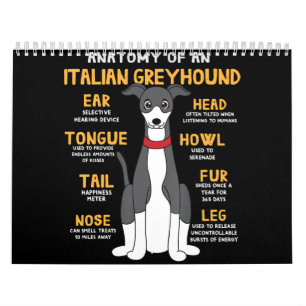 Italiaanse Greyhound Anatomy Funny Dog mam Papa Gi Kalender