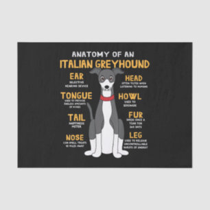 Italiaanse Greyhound Anatomy Funny Dog mam Papa Gi Tissuepapier