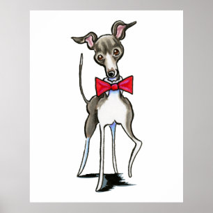 Italiaanse Greyhound Antonio Poster