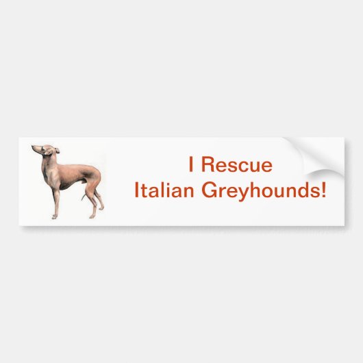 Italiaanse Greyhound Bumpersticker (Voorkant)