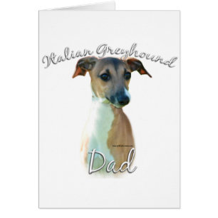 Italiaanse Greyhound Dad 2