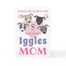 Italiaanse Greyhound Dog mam Cute Iggies Aangepast