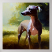 Italiaanse Greyhound Dog Poster (Voorkant)