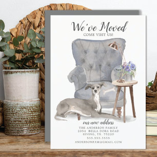 Italiaanse Greyhound Dog   Verplaatsingsaankondigi Aankondiging