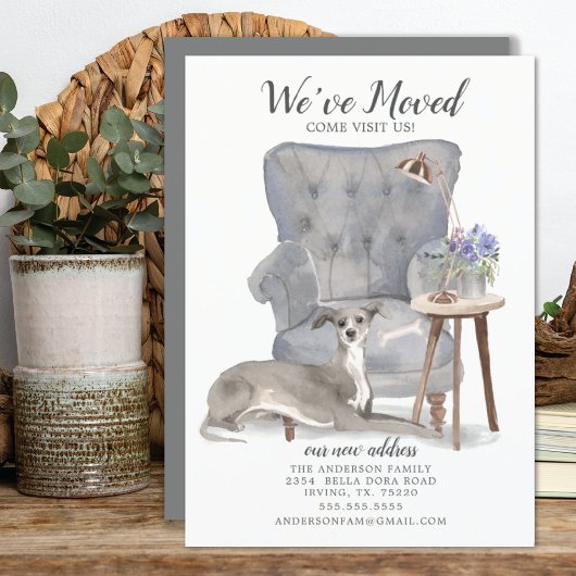 Italiaanse Greyhound Dog | Verplaatsingsaankondigi Aankondiging