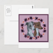 ITALIAANSE GREYHOUND DUO BRIEFKAART (Voorkant / Achterkant)