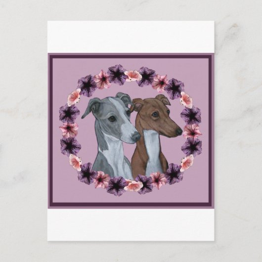ITALIAANSE GREYHOUND DUO BRIEFKAART (Voorkant)