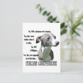Italiaanse Greyhound FAQ Briefkaart (Staand voorkant)