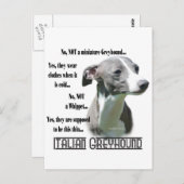 Italiaanse Greyhound FAQ Briefkaart (Voorkant / Achterkant)