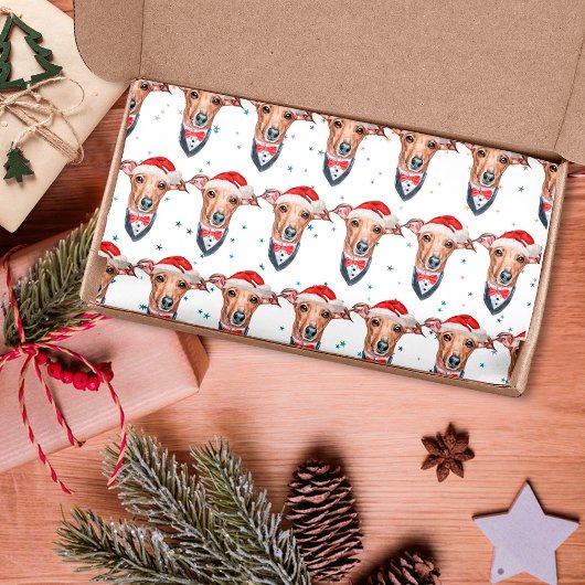 Italiaanse Greyhound-hondenras Kerstmis Tissuepapier