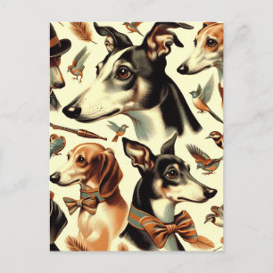 Italiaanse Greyhound Illustratie Briefkaart