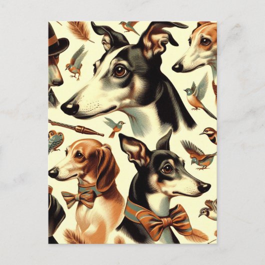 Italiaanse Greyhound Illustratie Briefkaart (Voorkant)