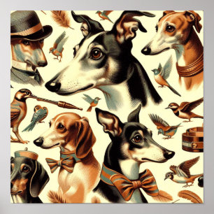 Italiaanse Greyhound Illustratie Poster