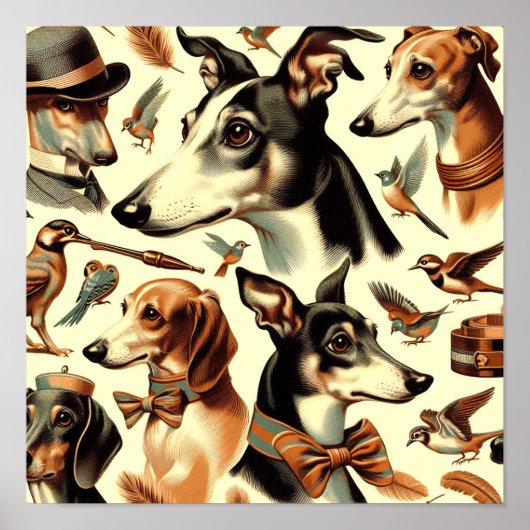 Italiaanse Greyhound Illustratie Poster (Voorkant)