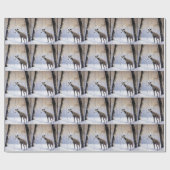 Italiaanse Greyhound Laat Het Sneeuw Kerstmis Cadeaupapier (Vlak)