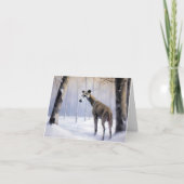 Italiaanse Greyhound Laat Het Sneeuw Kerstmis Kaart (Voorkant)