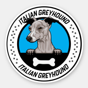 Italiaanse Greyhound Peeking Illustration Badge Sticker