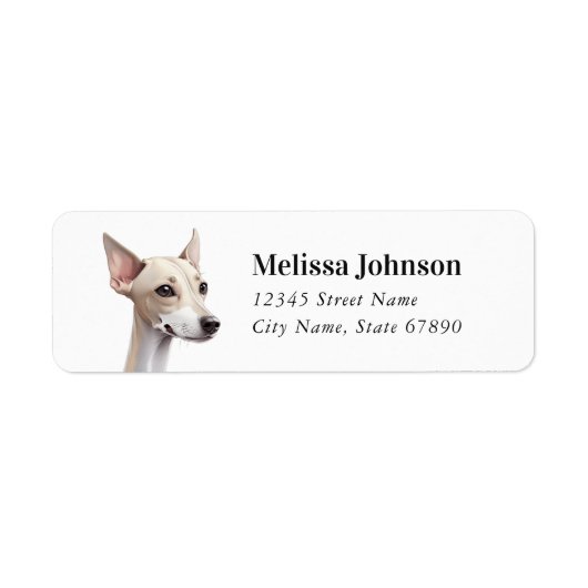 Italiaanse Greyhound Return Address Labels (Voorkant)