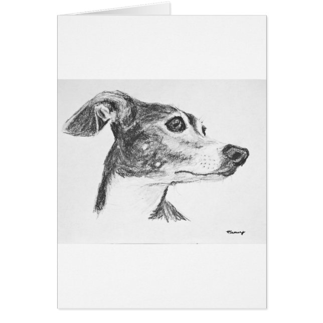 Italiaanse Greyhound Sketch (Voorkant)