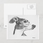 Italiaanse Greyhound Sketch Briefkaart (Voorkant / Achterkant)