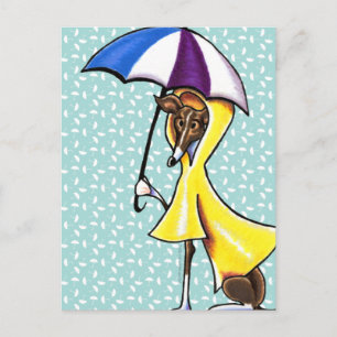 Italiaanse Greyhound Umbrella Crazy Briefkaart
