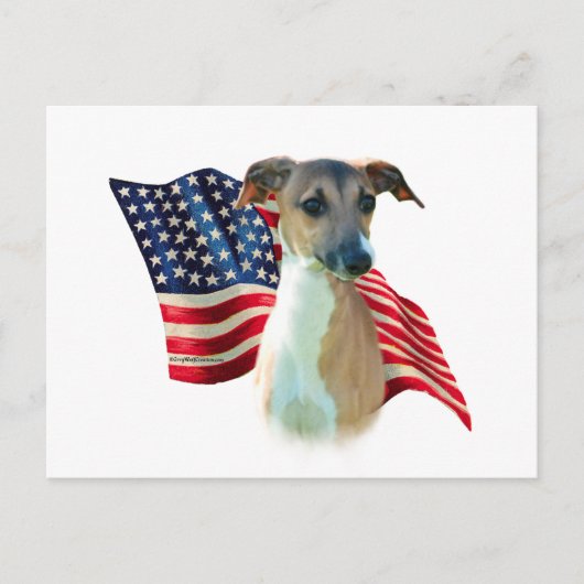 Italiaanse Greyhound vlag Briefkaart (Voorkant)