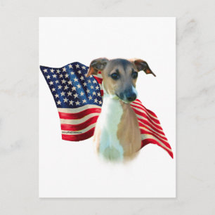 Italiaanse Greyhound vlag Briefkaart