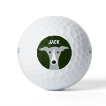 Italiaanse Greyhound Whippet Hond met aangepaste n