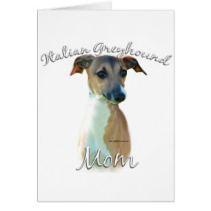 Italiaanse Greyhoundmam 2