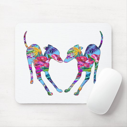 Italiaanse Greyhounds spelen Muismat (Met muis)